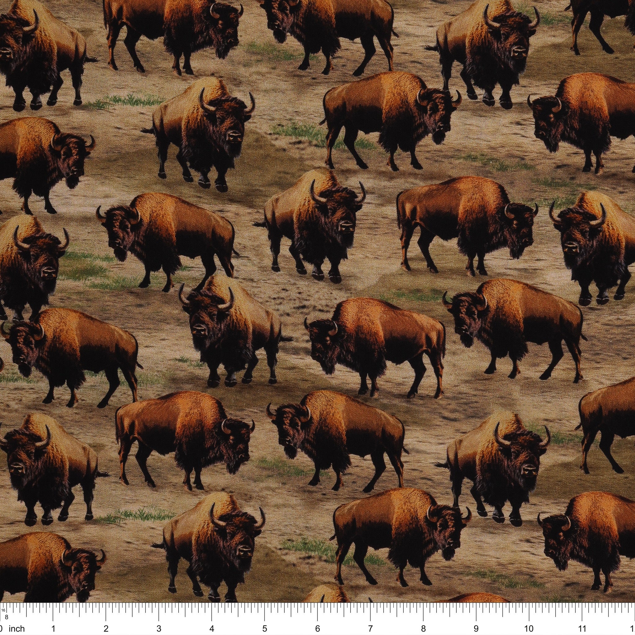 Wild Kingdom Fabric Collection - Burly Bison - Image 3