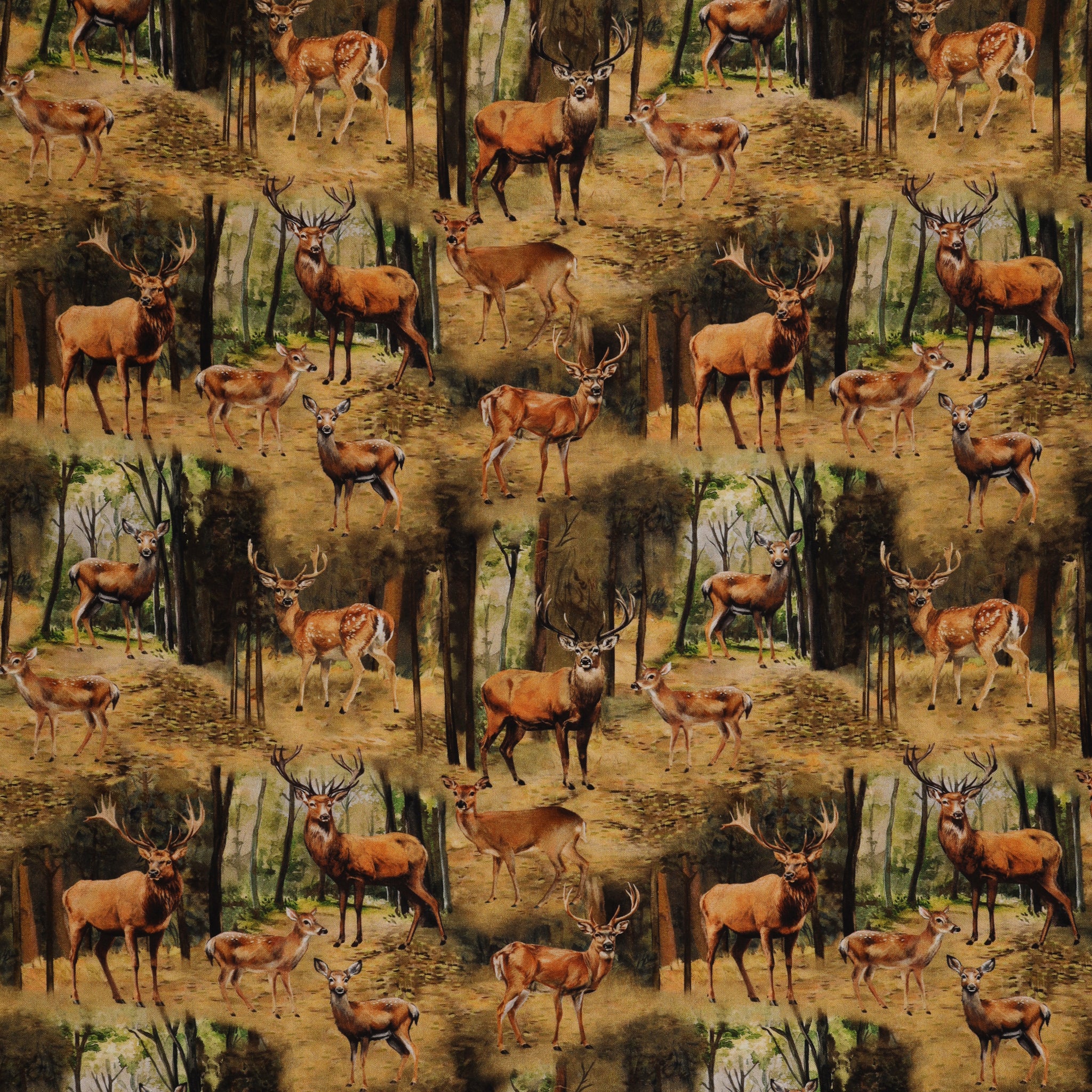 Wild Kingdom Fabric Collection - Distinguished Deer