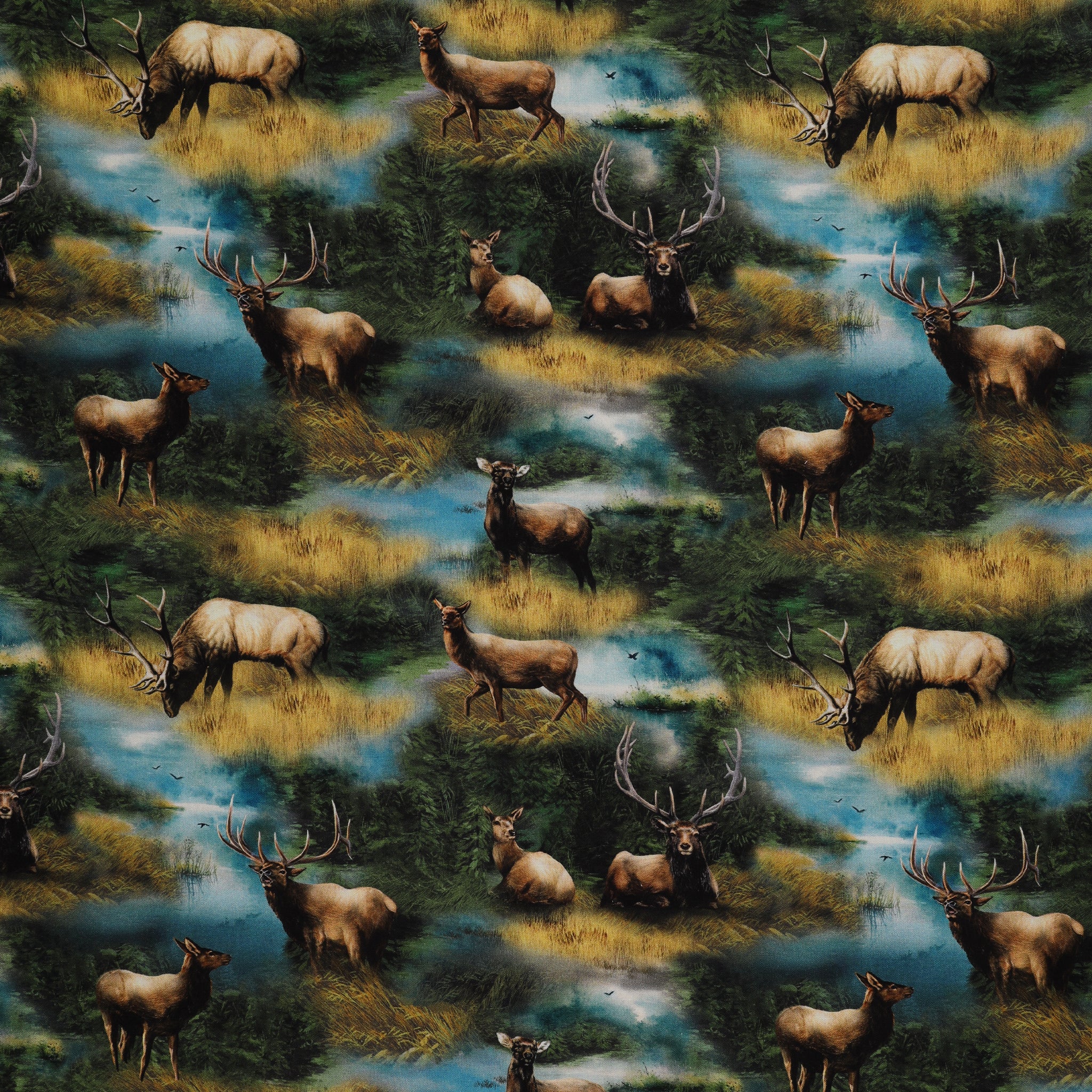 Wild Kingdom Fabric Collection - Elegant Elk