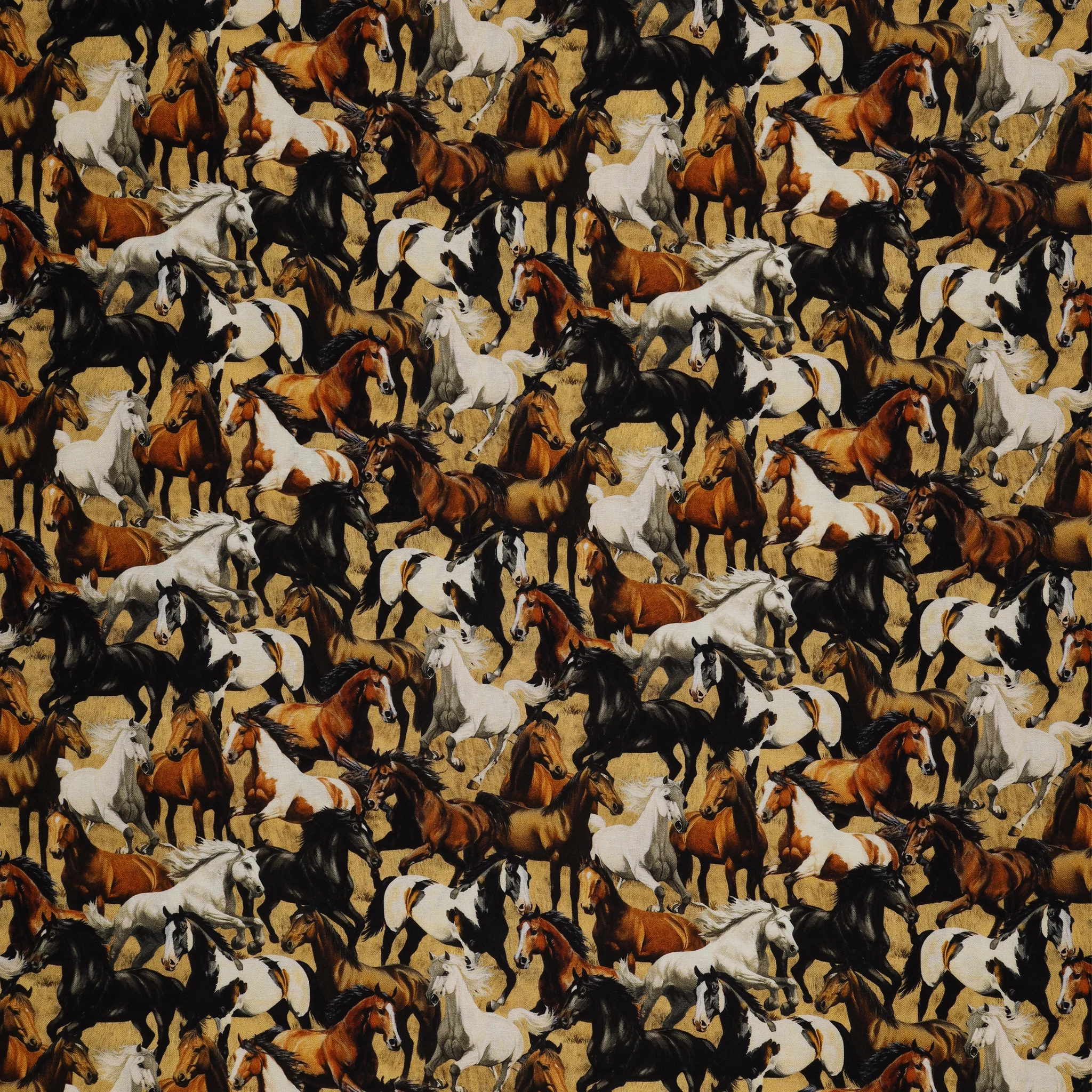 Wild Kingdom Fabric Collection - Gallant Gallopers