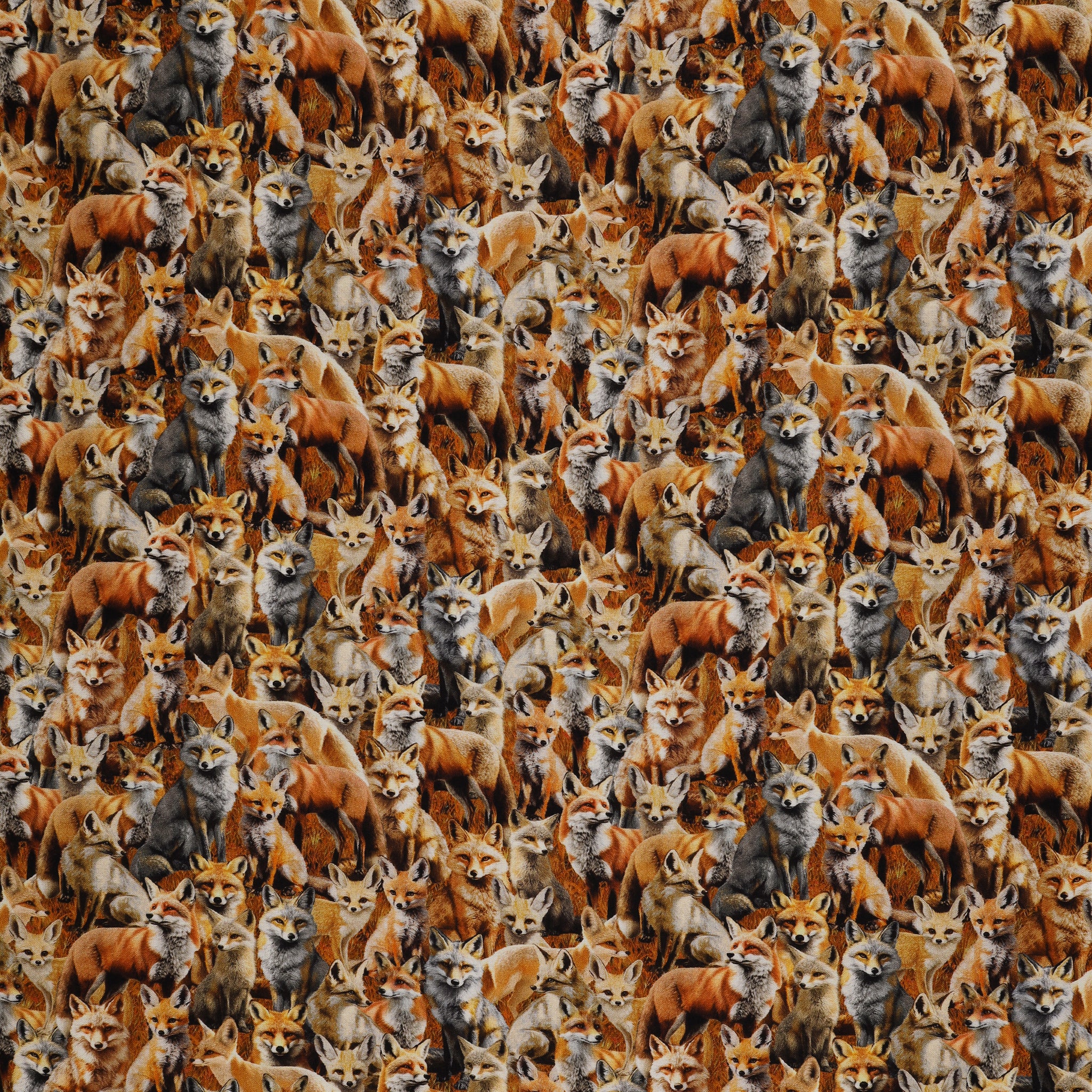 Wild Kingdom Fabric Collection - Sly Fox