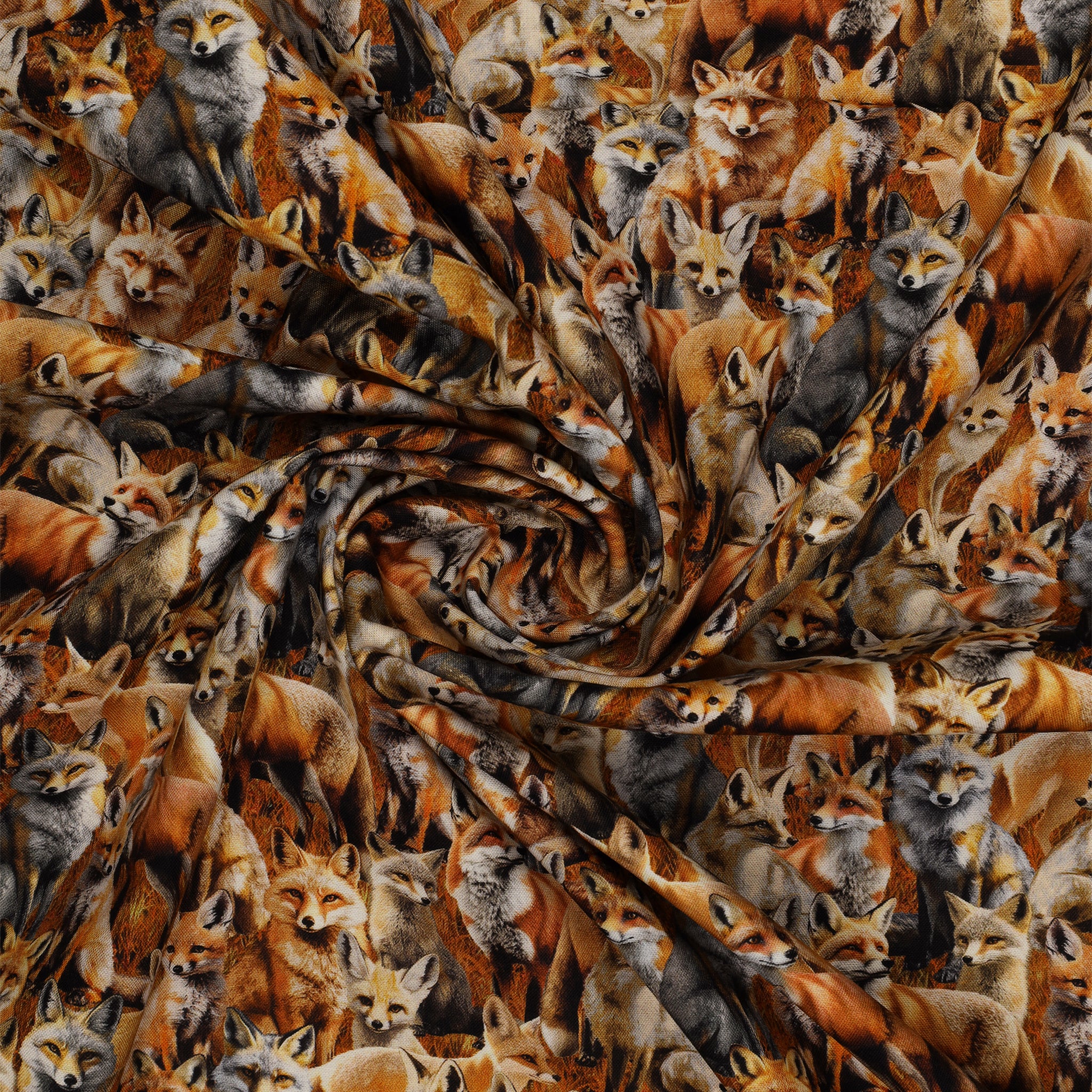 Wild Kingdom Fabric Collection - Sly Fox - Image 2