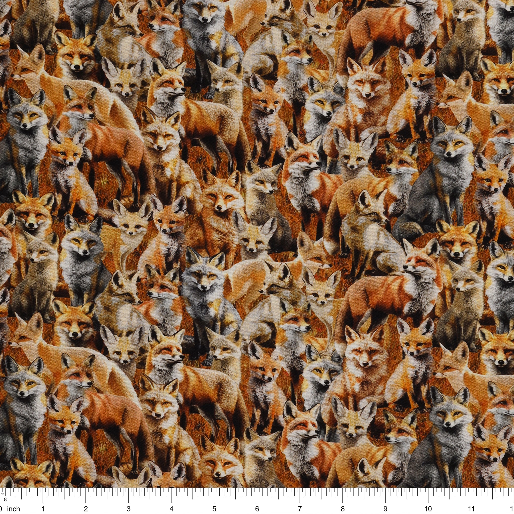 Wild Kingdom Fabric Collection - Sly Fox - Image 3