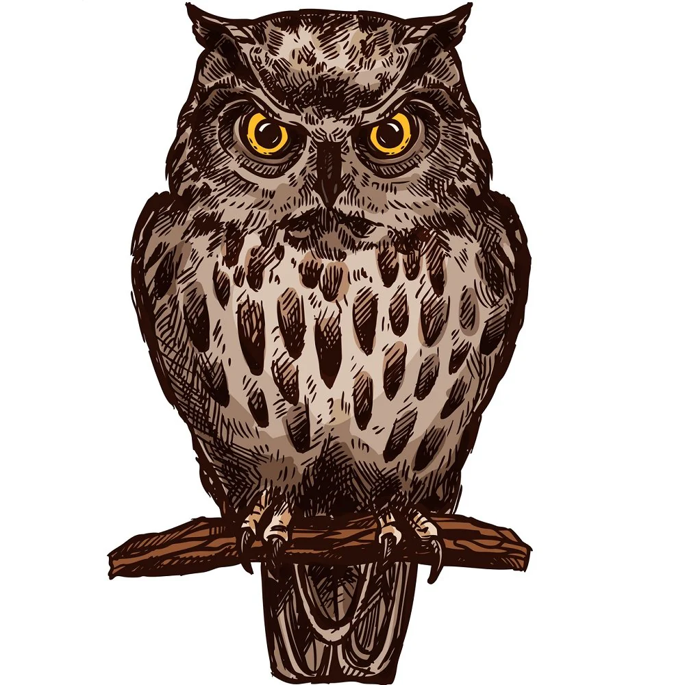 Wild Owl Fabric Panel