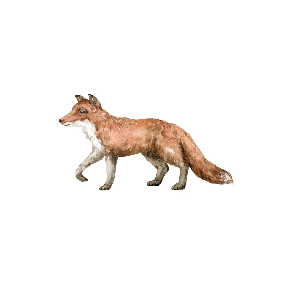 Wild Red Fox Fabric Panel