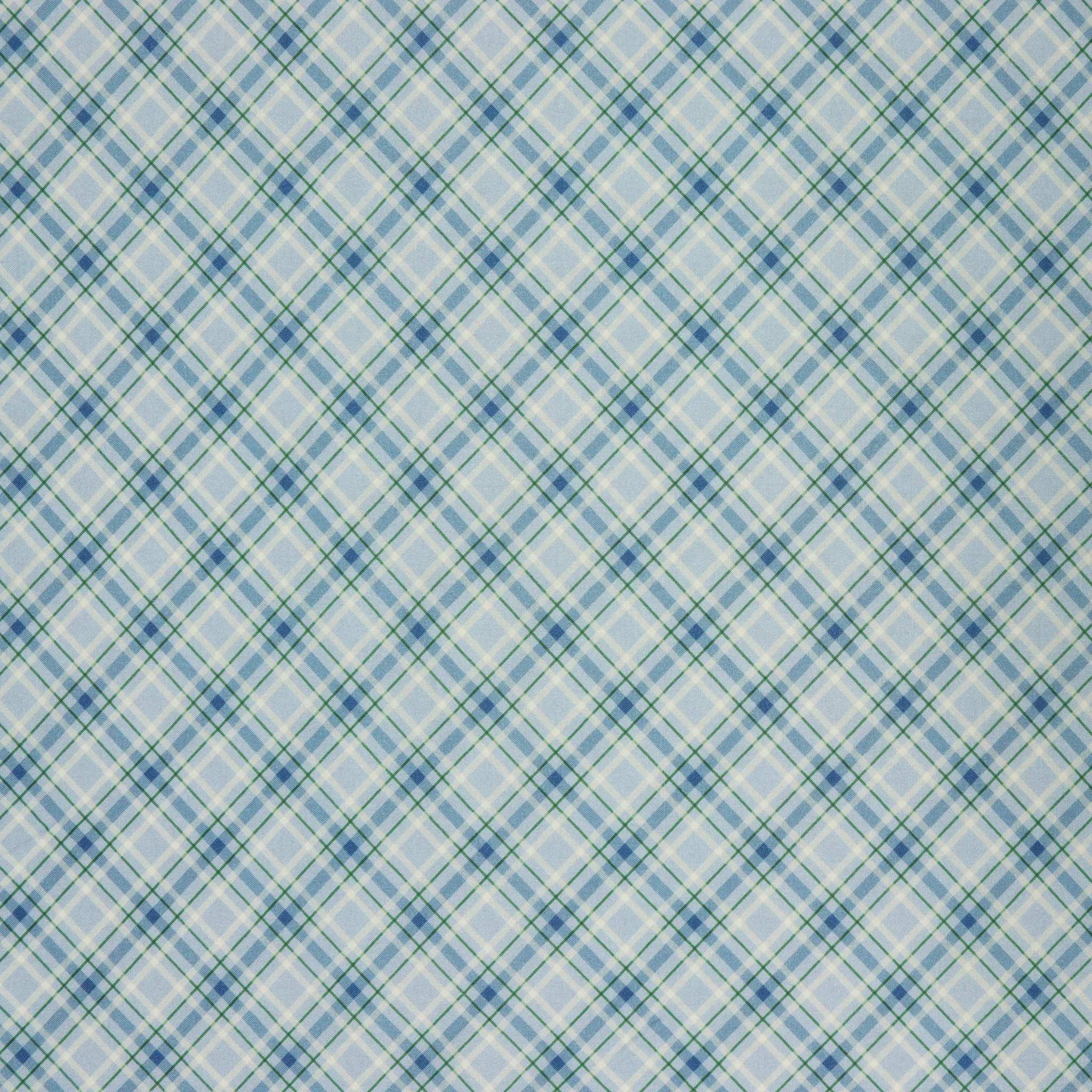 Woodland Wonderland Fabric Collection - Plaid Wonderland Blue